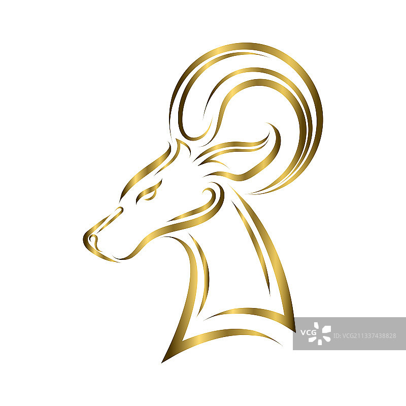 金色线条艺术巴巴里绵羊头图片素材