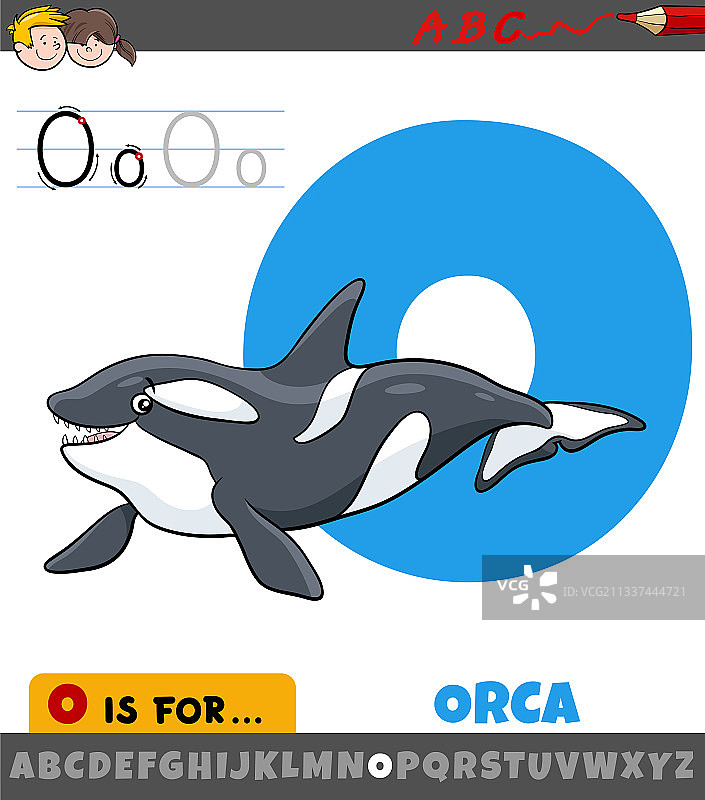 来自字母表的O字母与虎鲸动物角色图片素材