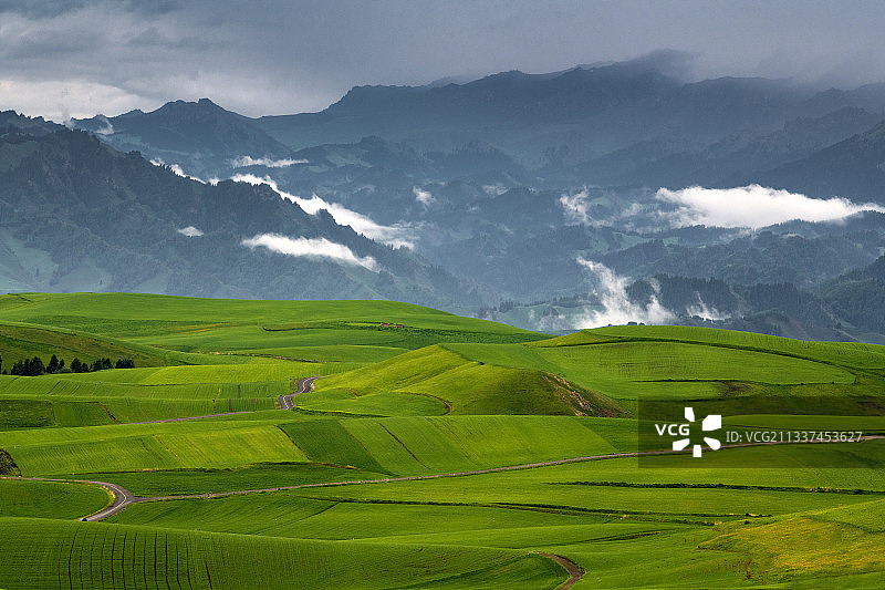 江布拉克高原麦田图片素材