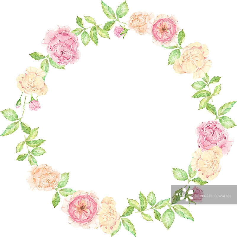 水彩英国玫瑰花束图片素材