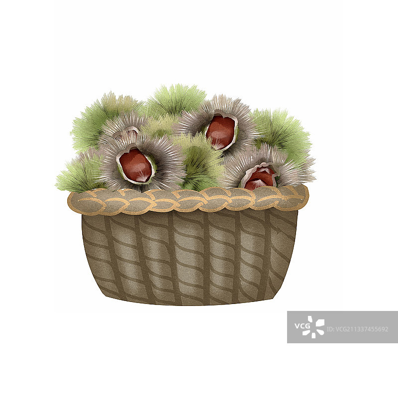 一筐坚果板栗插画元素图片素材