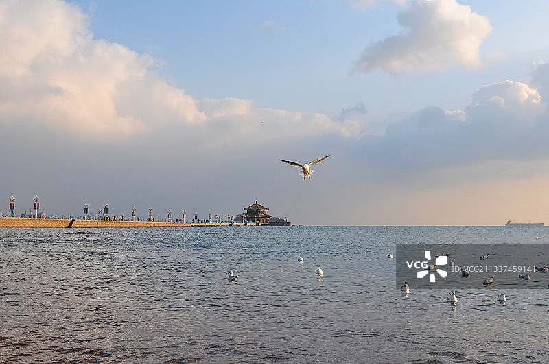 滨海栈桥图片素材