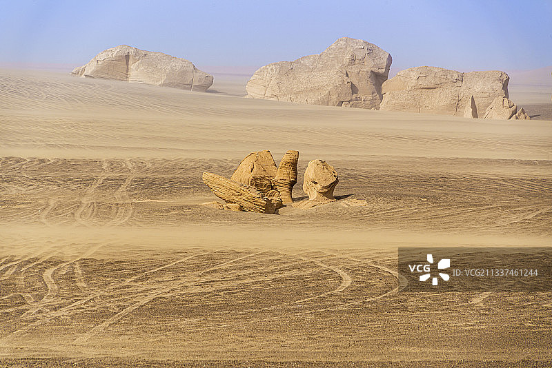 野象来到了无人区图片素材