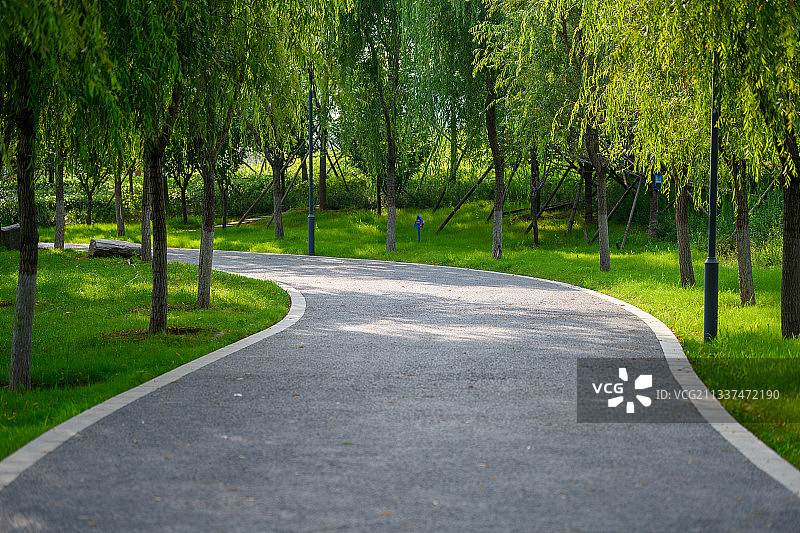 夏季白天城市公园中的小路图片素材