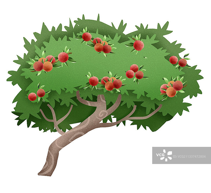 杨梅果树插画元素图片素材