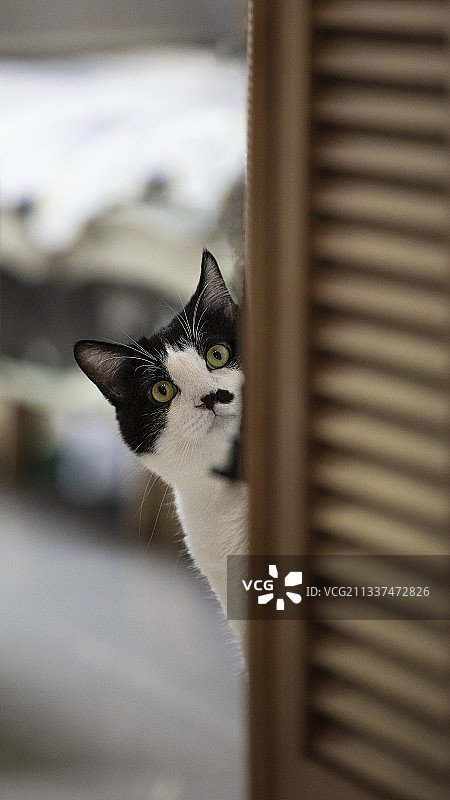 我在这图片素材