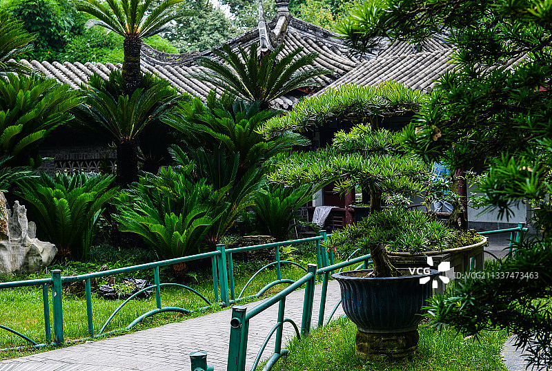 中式庭院盆景图片素材