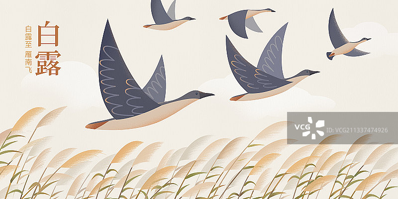 二十四节气白露横版带文字图片素材