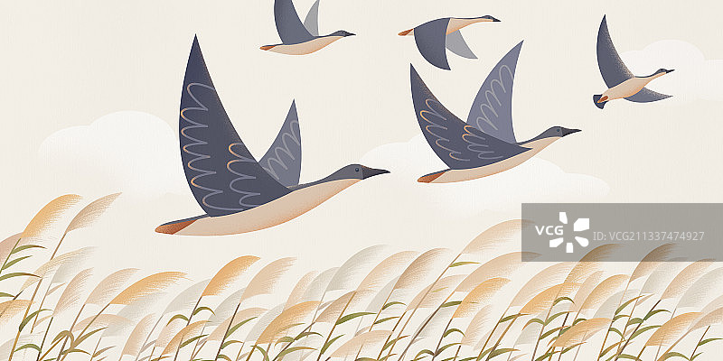 二十四节气白露横版图片素材