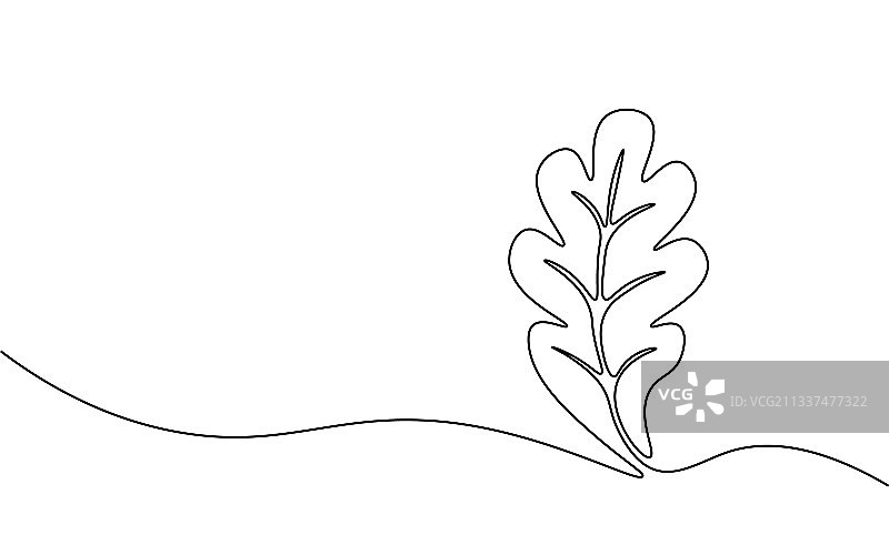 橡树嫩芽生长的单线艺术图片素材