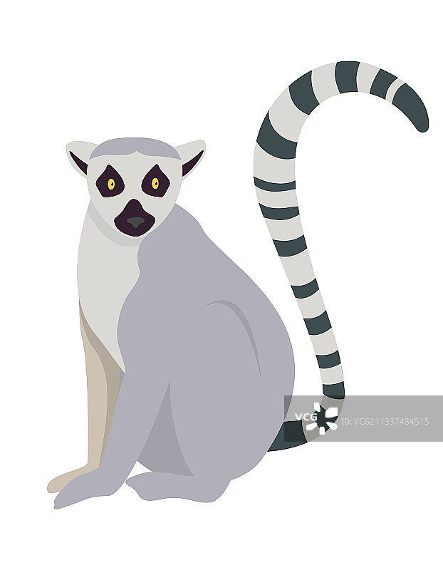 卡通风格的狐猴图片素材