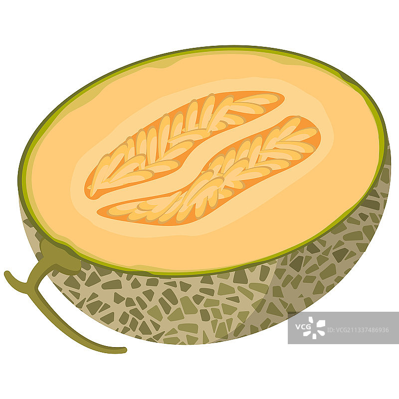 卡通风格的半个甜瓜图片素材
