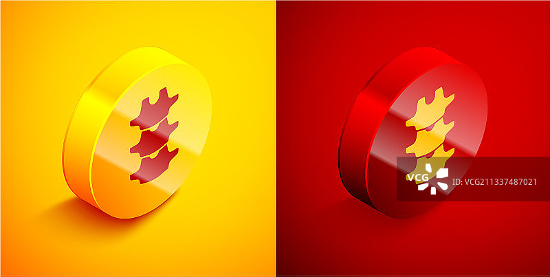 橙色背景上隔离的2.5D人体脊柱图标图片素材