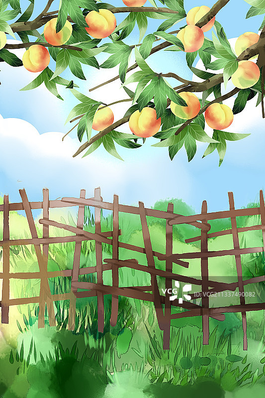 桃子果园插画背景图片素材