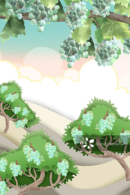 葡萄果园插画背景图片素材