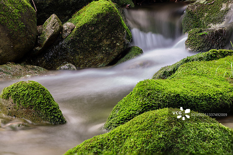 且待春和款款行图片素材
