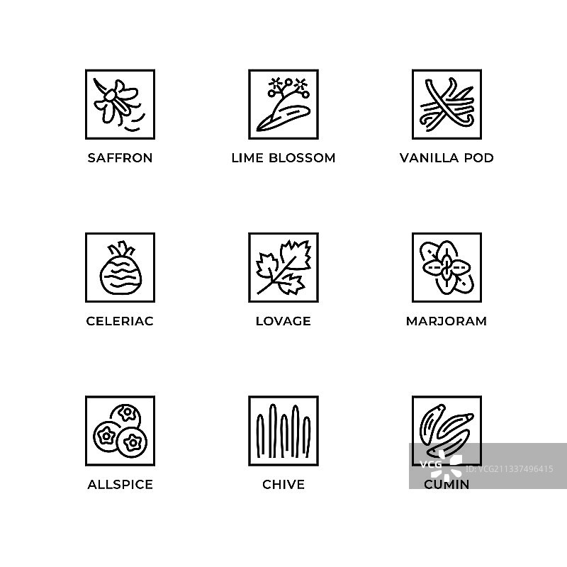 草药和植物线性图标合集图片素材