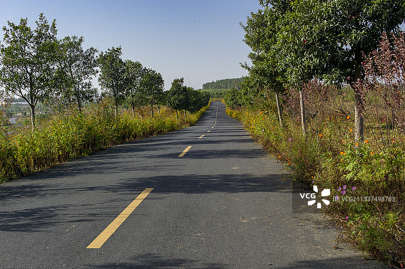 江苏省南京市高淳县国际慢城图片素材