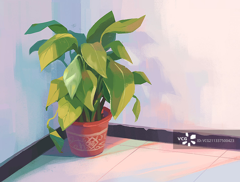 墙角的植物图片素材