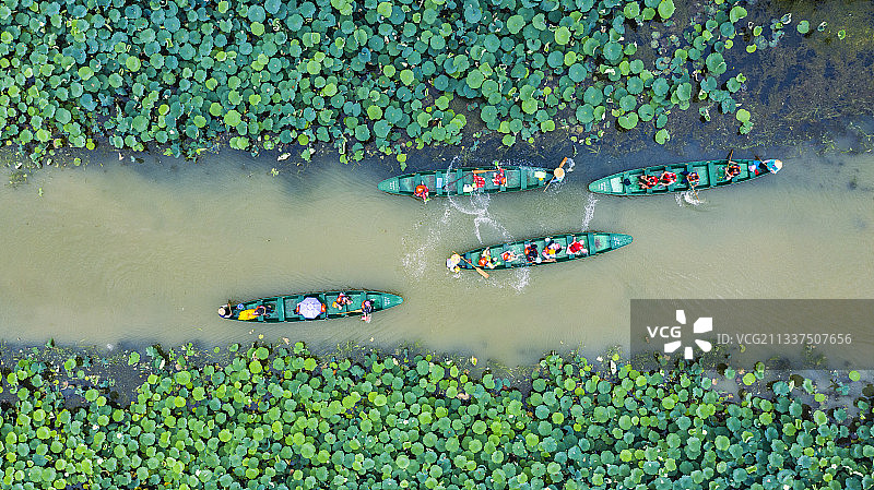 普者黑图片素材