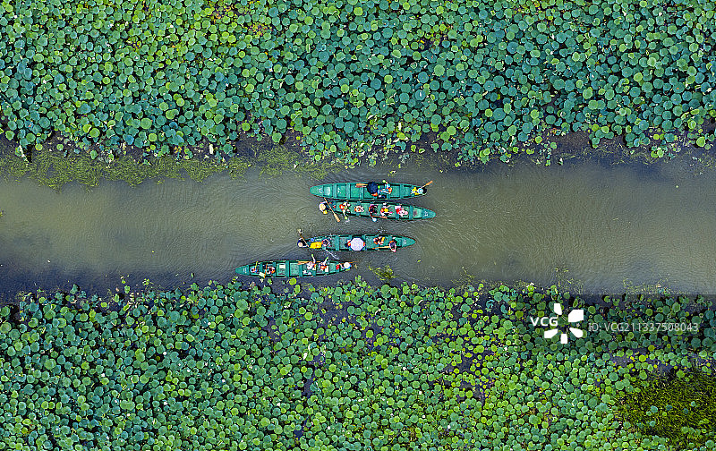 普者黑图片素材