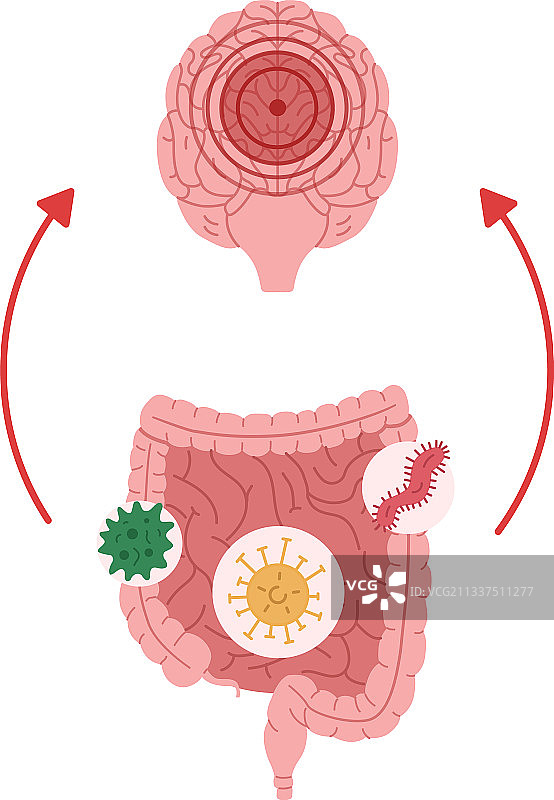 肠道健康不佳图片素材