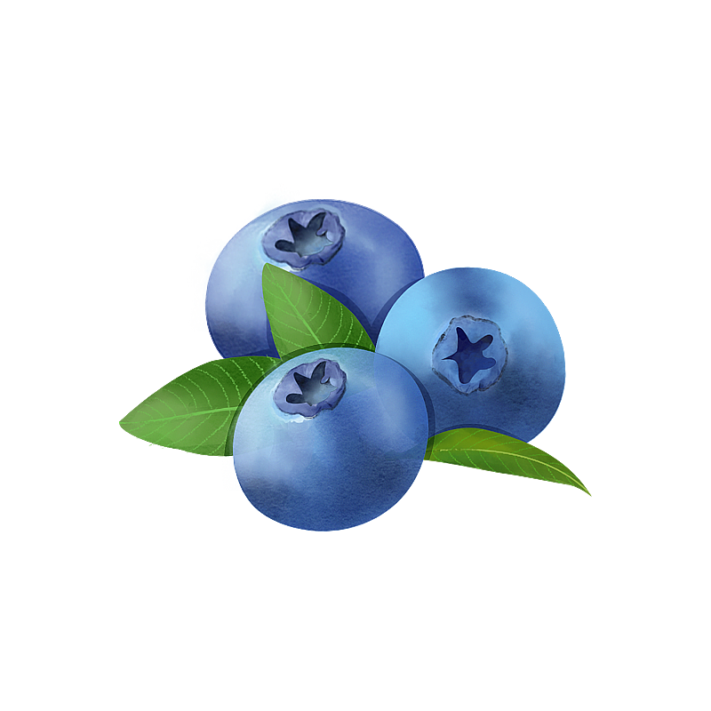 小清新蓝莓图片素材