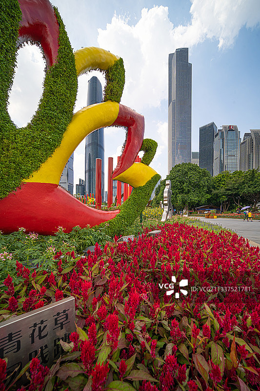 广州花城广场鲜花盛开生态绿化图片素材