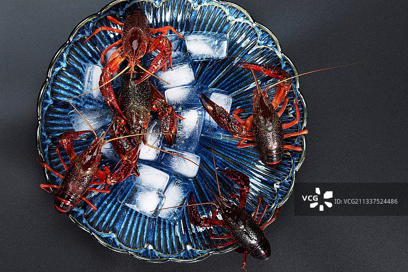 蓝色瓷盘里冰鲜的小龙虾图片素材