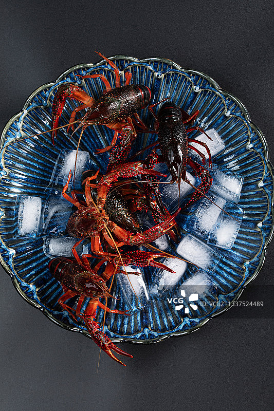 蓝色瓷盘里冰鲜的小龙虾图片素材