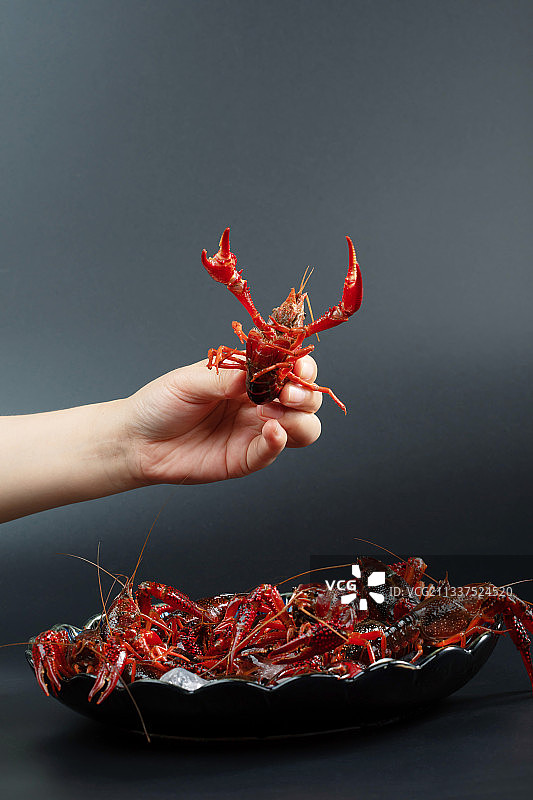 人的手,拿着,小龙虾,挑选图片素材
