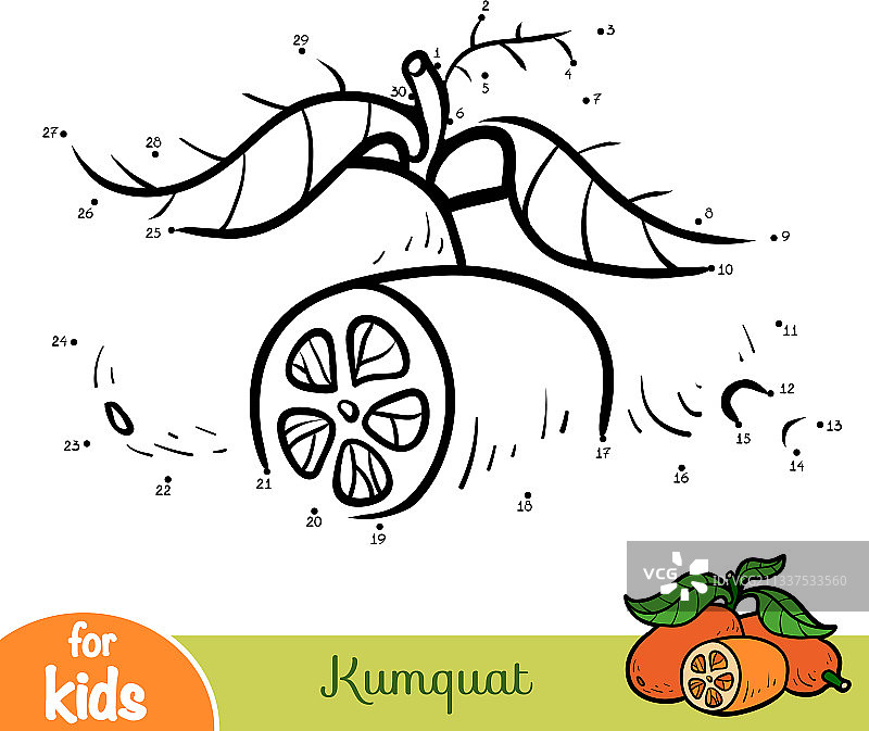 儿童数字游戏教育：金桔图片素材