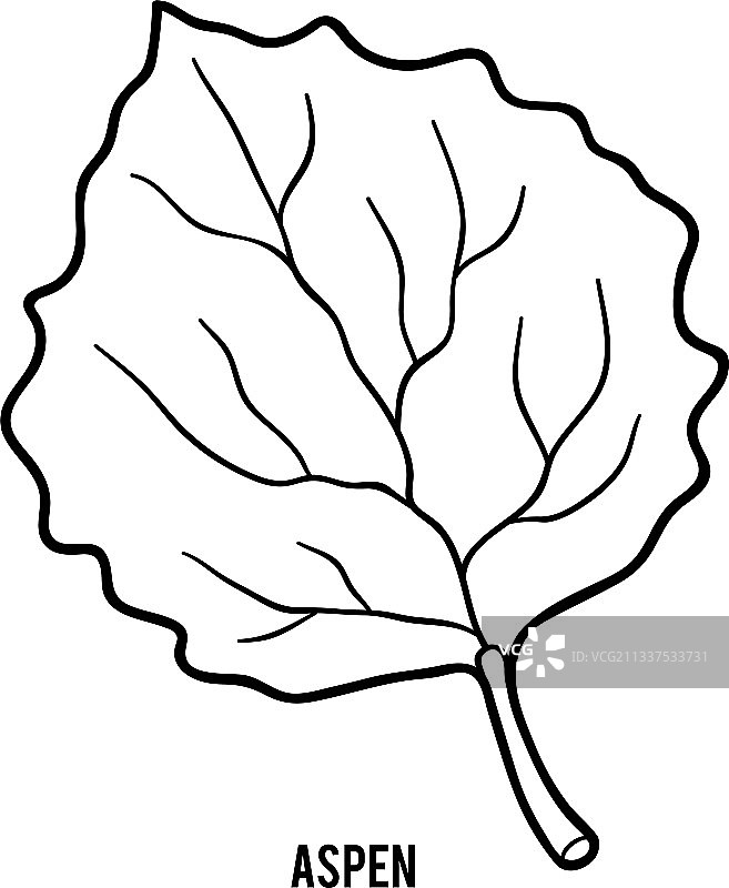 儿童白杨树涂色书图片素材