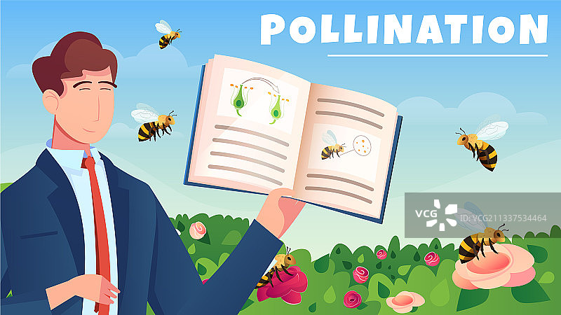 授粉水平构图图片素材