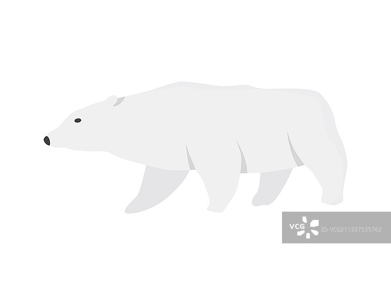 北极极地动物北极熊图片素材