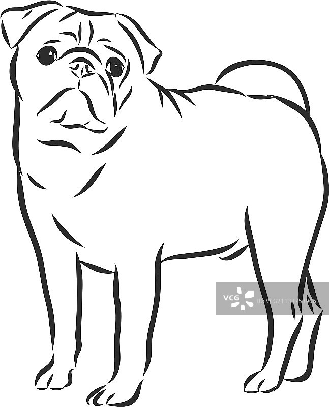 手绘黑白哈巴狗图片素材