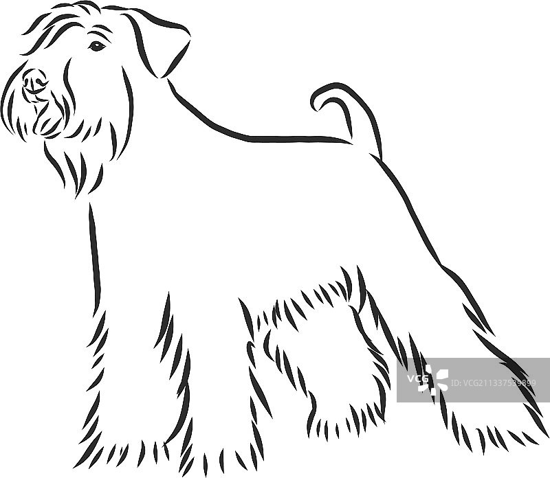 狗狗侧身站立装饰肖像图片素材