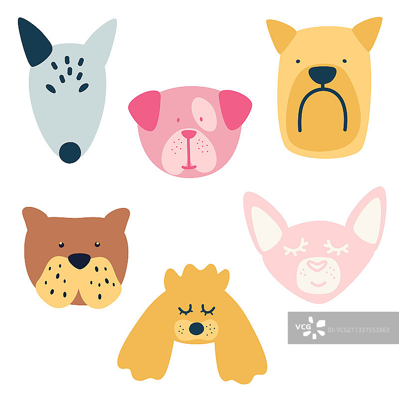 各种品种的狗头素材图片素材