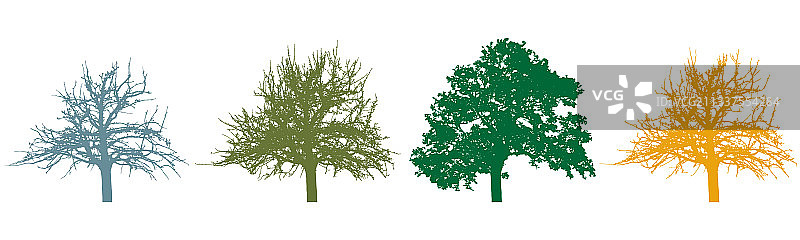 四季树木树叶剪影图片素材