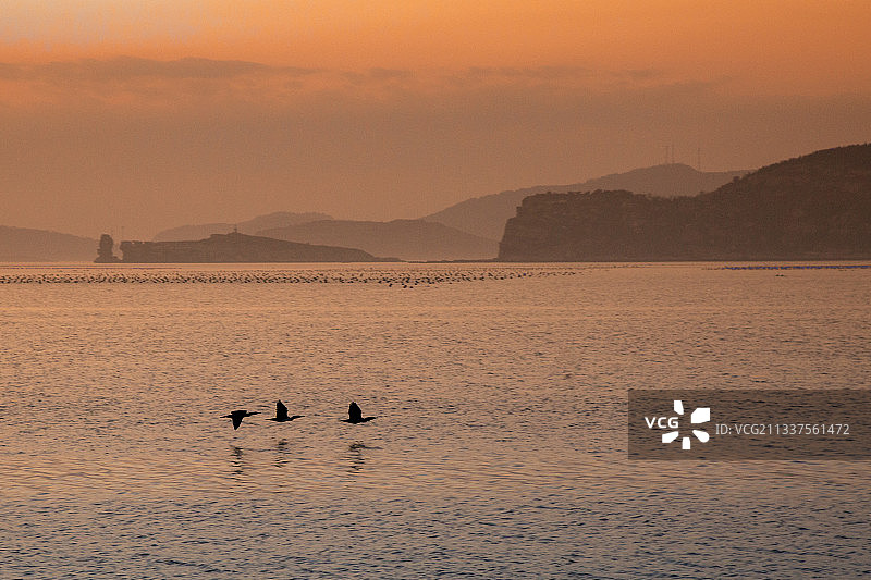山东烟台大黑山岛图片素材