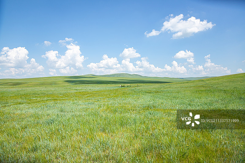 呼伦贝尔草原图片素材