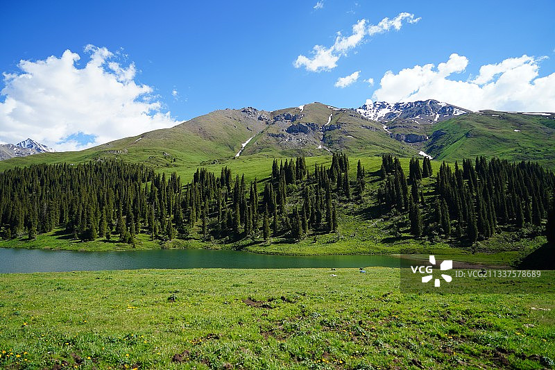 新疆唐布拉草原仙女湖图片素材