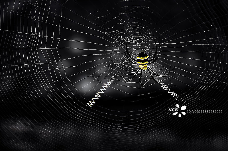 网上聊天图片素材