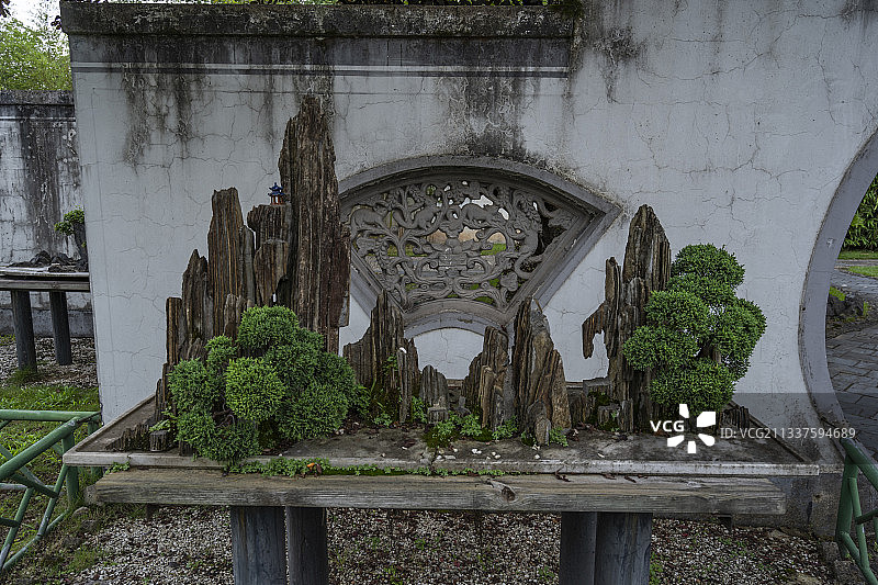 安徽歙县鲍家花园盆景拍摄图片素材