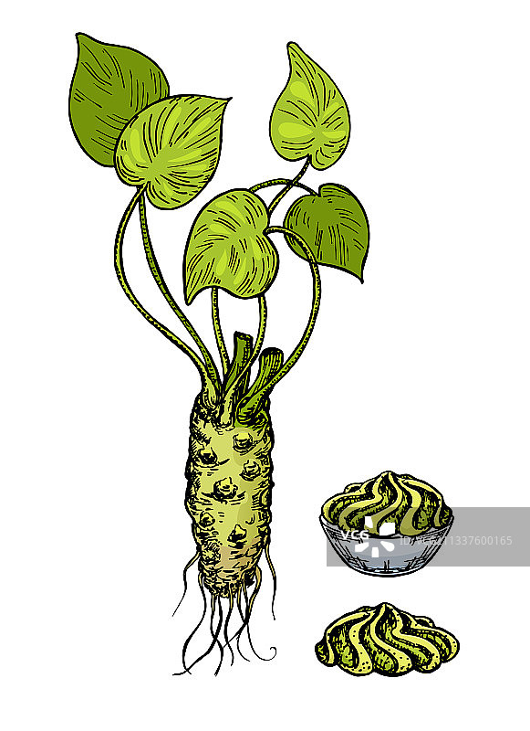 碗中芥末根切片与酱汁图片素材
