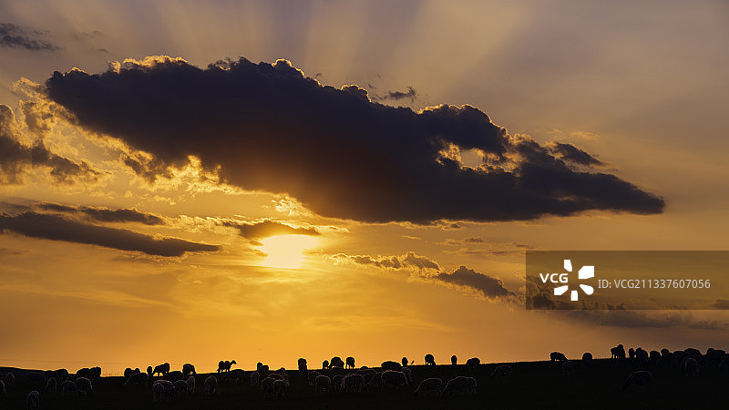 内蒙古锡林郭勒草原日落图片素材