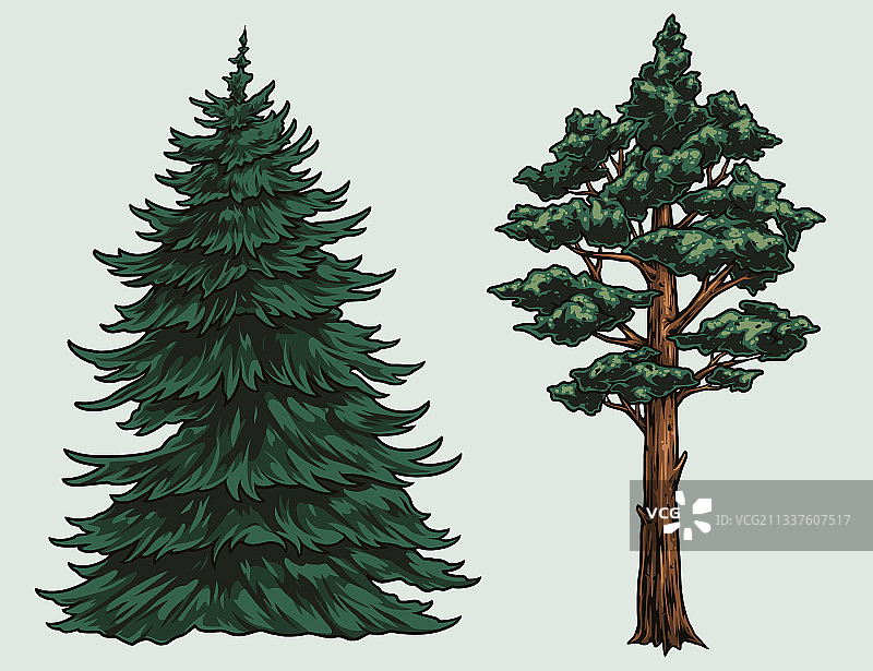 彩色复古针叶树概念图片素材