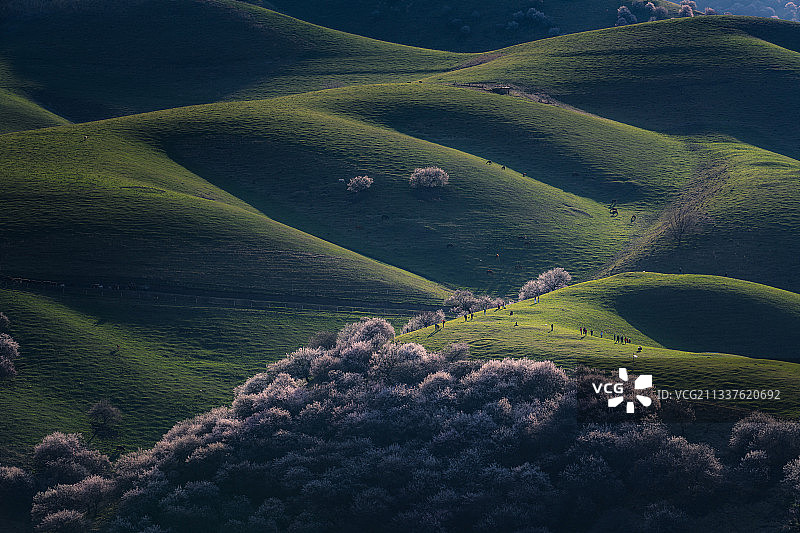 伊犁吐尔根杏花沟图片素材