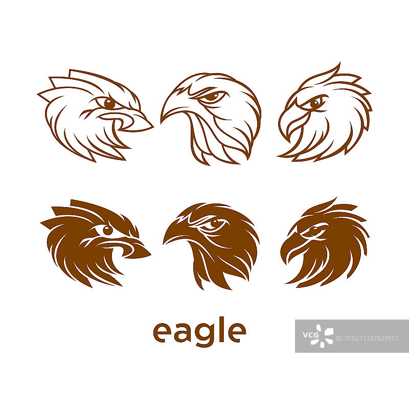 老鹰合集图片素材