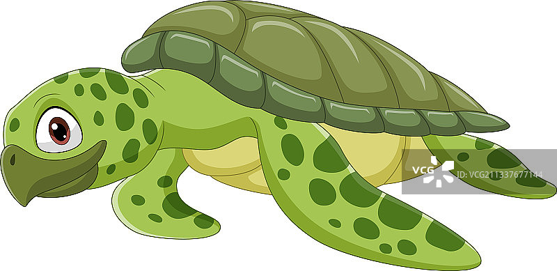 白色背景上的卡通海龟图片素材